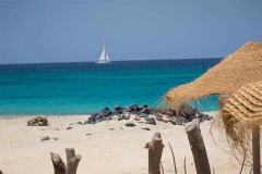 Agua Hotels